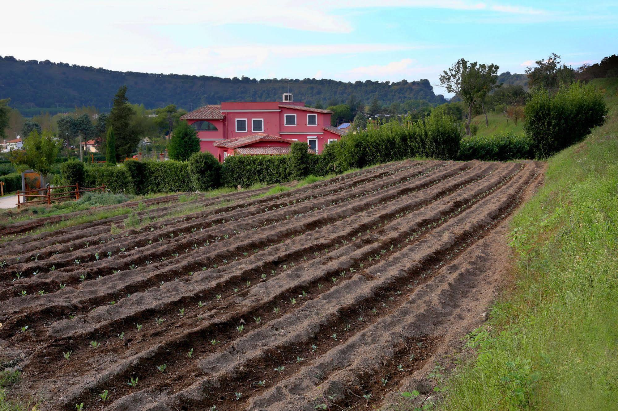 פוזולי Agriturismo San Martino מראה חיצוני תמונה