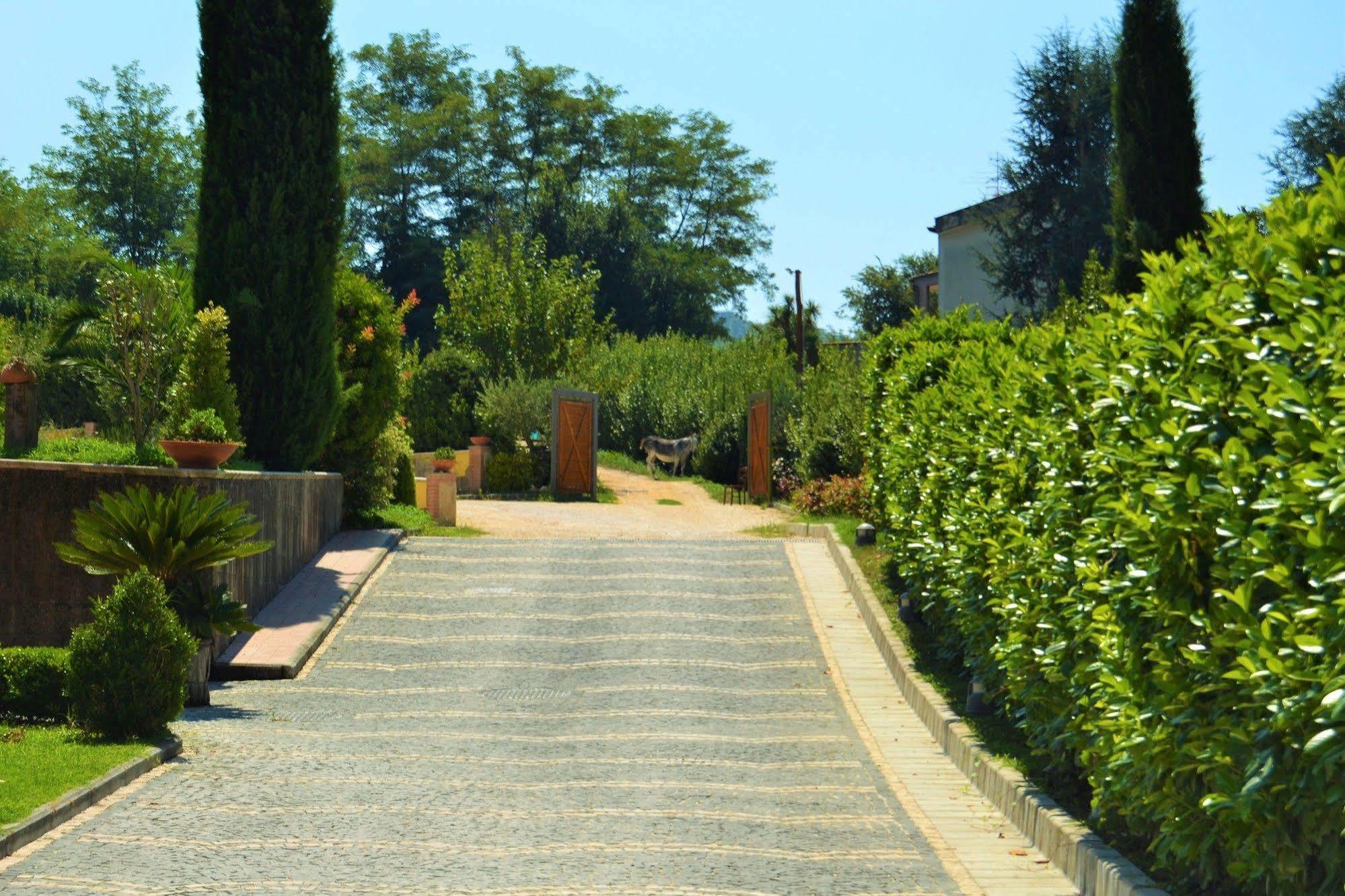פוזולי Agriturismo San Martino מראה חיצוני תמונה